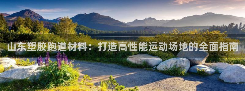 尊龙多少岁：山东塑胶跑道材料：打造高性能运动场地的全面指南