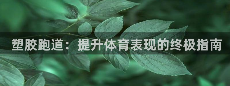 凯时国际app登录： 塑胶跑道：提升体育表现的终极指南