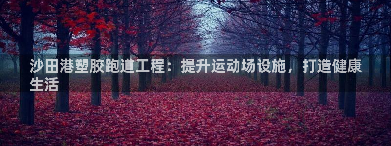 尊龙D88现金旧版：沙田港塑胶跑道工程：提升运动场设施，打造健康
生活