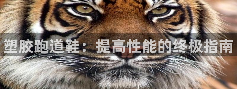 Z6尊龙凯时官方：塑胶跑道鞋：提高性能的终极指南