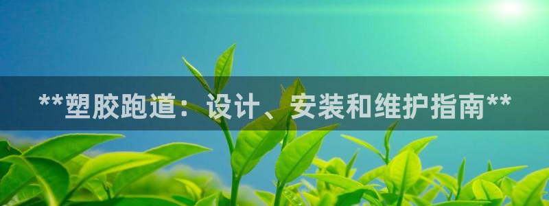 尊龙旗舰厅：**塑胶跑道：设计、安装和维护指南**