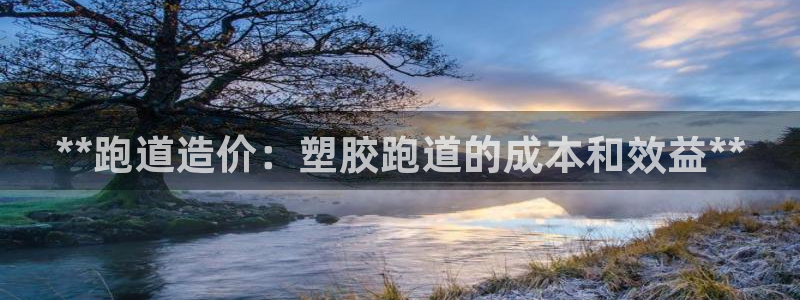 尊龙现金推荐ag发财网：**跑道造价：塑胶跑道的成本和效益**