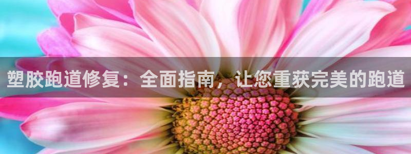 尊龙凯时一人生就是博官网：塑胶跑道修复：全面指南，让您重获完美的跑道