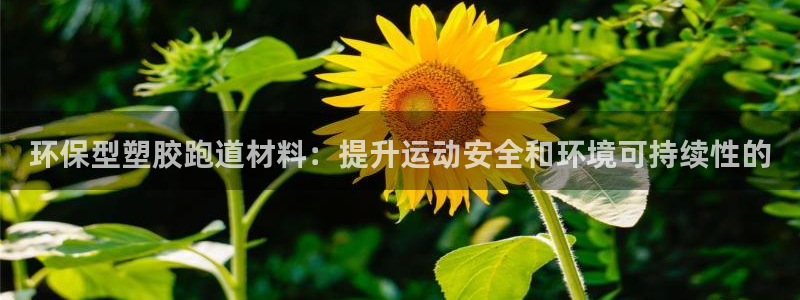 尊龙官方平台是正品吗
