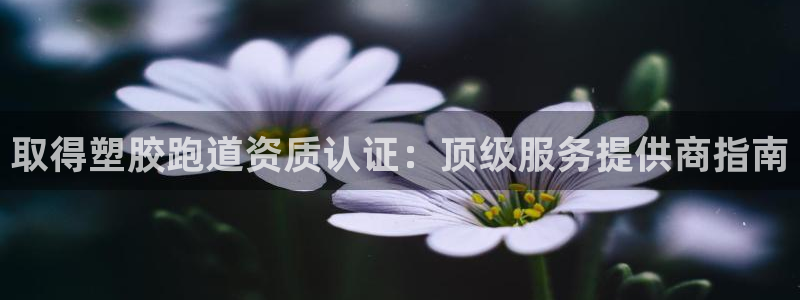 尊龙凯时口碑好吗：取得塑胶跑道资质认证：顶级服务提供