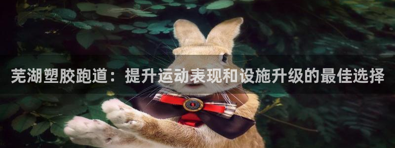 尊龙d88现金可来就送38：芜湖塑胶跑道：提升运动表现和设施升级的最佳选择