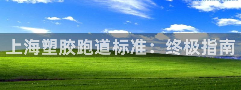 尊龙凯时白家乐：上海塑胶跑道标准：终极指南