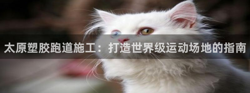 z6尊龙官网平台下载：太原塑胶跑道施工：打造世界级运动场地的指南