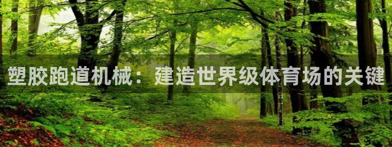 尊龙网站注册站注册：塑胶跑道机械：建造世界级体育场的