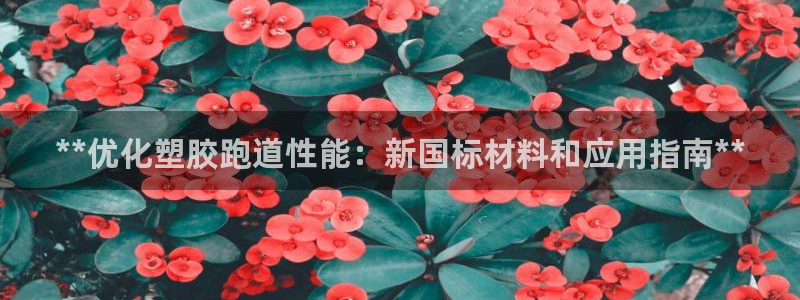 尊龙手机客户端下载APP：**优化塑胶跑道性能：新国标材料和应用指南**
