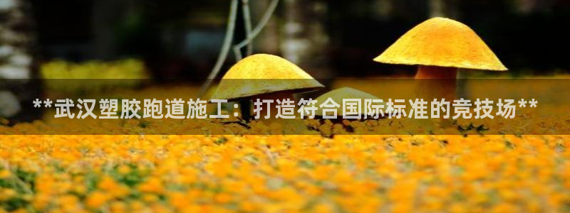 尊龙人生就是博手机版下载：**武汉塑胶跑道施工：打造符合国际标准的竞技场**