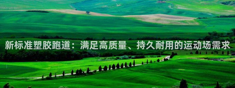 尊龙凯时提不了款：新标准塑胶跑道：满足高质量、持久耐用的运动场需求