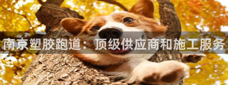 尊龙人生就是博用现金玩一下：南京塑胶跑道：顶级供应商和施工服务