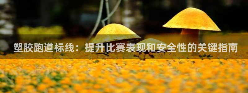 尊龙 am i blue： 塑胶跑道标线：提升比赛表现和安全性的关键指南