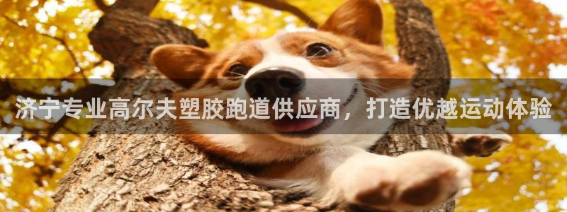 尊龙凯时z6官网：济宁专业高尔夫塑胶跑道供应商，打造