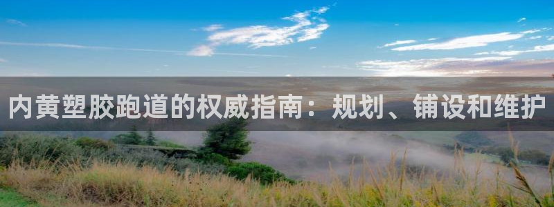 尊龙网站人生就是博：内黄塑胶跑道的权威指南：规划、铺