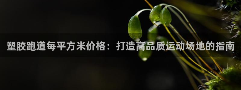 尊龙凯时官网平台：塑胶跑道每平方米价格：打造高品质运动场地的指南