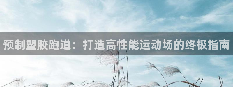 尊龙app怎么样：预制塑胶跑道：打造高性能运动场的终极指南