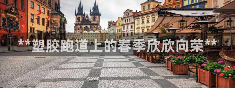 尊龙百度贴吧：**塑胶跑道上的春季欣欣向荣**