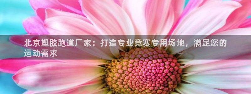 尊龙凯时一人生就是博官网：北京塑胶跑道厂家：打造专业竞赛专用场地，满足您的
运动需求