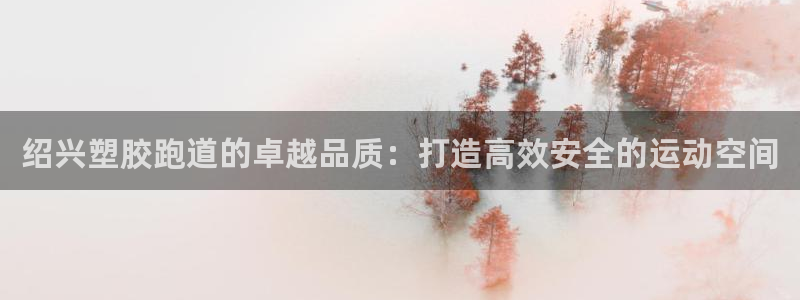 尊龙人生就是博ag：绍兴塑胶跑道的卓越品质：打造高效安全的运动空间