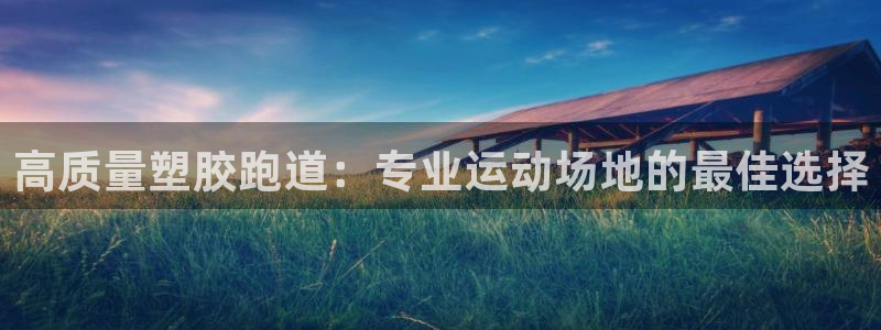 尊龙官方网站最新版V9.3.06介绍：高质量塑胶跑道：专业运动场地的最佳选择