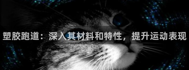 尊龙d88官网去来就送38：塑胶跑道：深入其材料和特性，提升运动表现