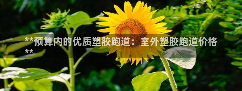 尊龙人生就是博用现金玩一下：**预算内的优质塑胶跑道：室外塑胶跑道价格
**