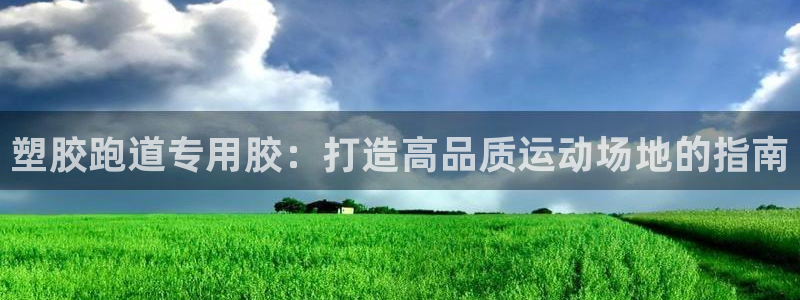 尊龙王t400：塑胶跑道专用胶：打造高品质运动场地的指南