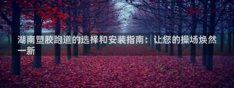 尊龙官网首页：湖南塑胶跑道的选择和安装指南：让您的操场焕然
一新