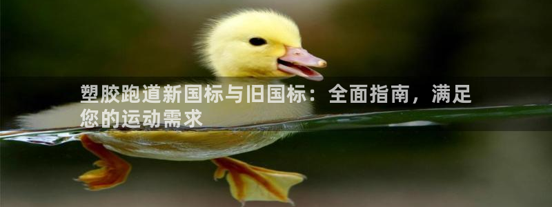 尊龙电子：塑胶跑道新国标与旧国标：全面指南，满足
您