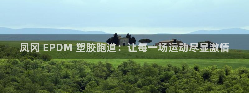 d88尊龙官网手机app：凤冈 EPDM 塑胶跑道：让每一场运动尽显激情