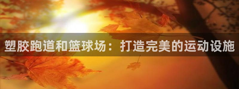 尊龙凯时d5138：塑胶跑道和篮球场：打造完美的运动设施