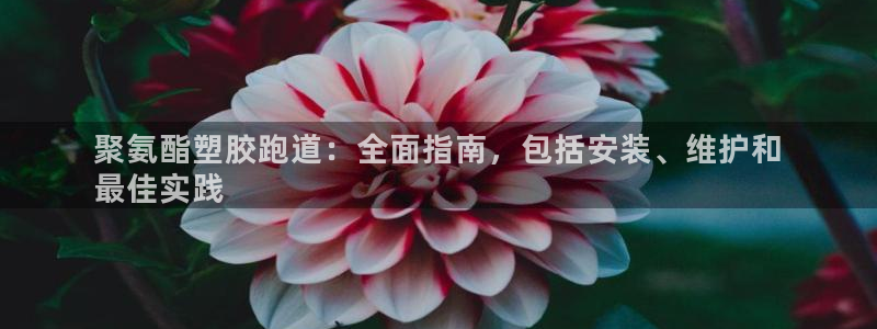 凯时国际娱乐官方网址：聚氨酯塑胶跑道：全面指南，包括安装、维护和
最佳实践