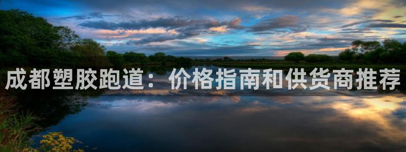 尊龙ag旗舰厅下载：成都塑胶跑道：价格指南和供货商推荐