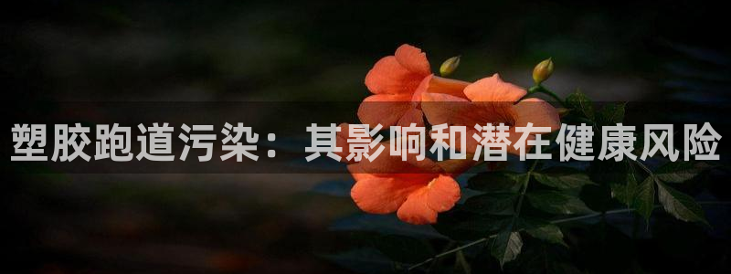 尊龙人生就是博AG旗舰厅：塑胶跑道污染：其影响和潜在