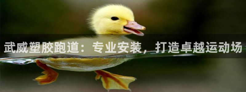 尊龙官网网页版：武威塑胶跑道：专业安装，打造卓越运动场