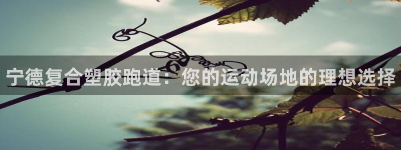 百度一下尊龙：宁德复合塑胶跑道：您的运动场地的理想选择