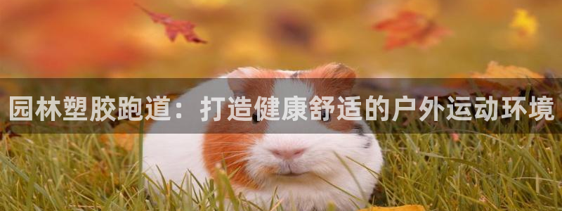 尊龙凯时国际：园林塑胶跑道：打造健康舒适的户外运动环境