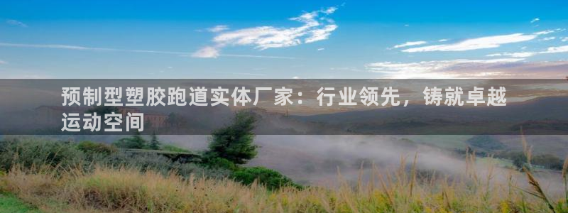 尊龙d88手机版下载：预制型塑胶跑道实体厂家：行业领先，铸就卓越
运动空间