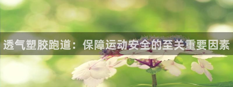 尊龙版末代皇帝：透气塑胶跑道：保障运动安全的至关重要因素
