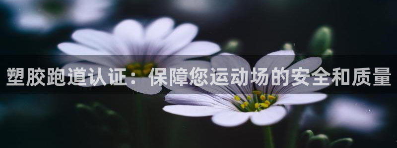 尊龙官方网站最新版V9.3.06：塑胶跑道认证：保障您运动场的安全和质量