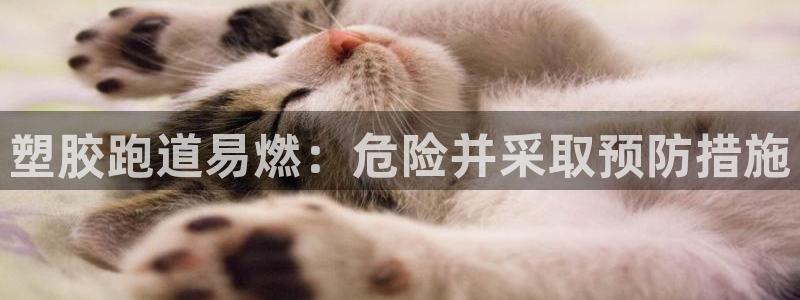 尊龙旗舰app：塑胶跑道易燃：危险并采取预防措施