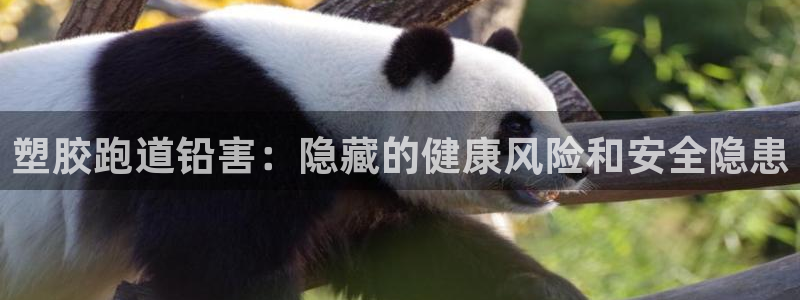 尊龙人生就是博现金：塑胶跑道铅害：隐藏的健康风险和安全隐患