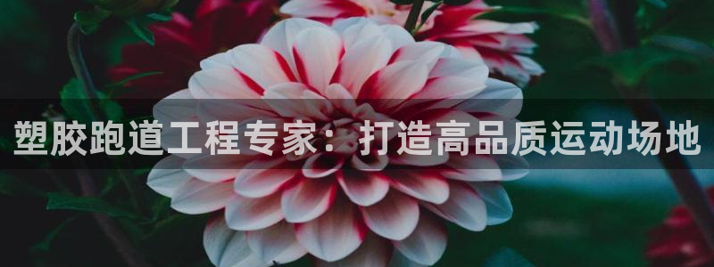 尊龙凯时 人生就是搏!平台：塑胶跑道工程专家：打造高