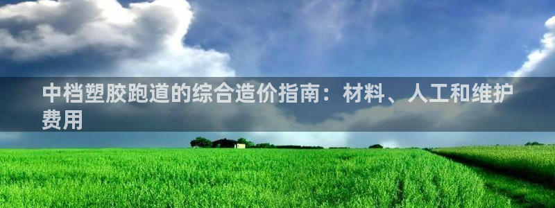 尊龙手机官方客户端下载：中档塑胶跑道的综合造价指南：材料、人工和维护
费用