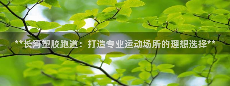 尊龙游戏官网：**长河塑胶跑道：打造专业运动场所的理想选择**