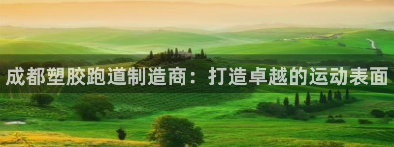 尊龙凯时官方网页：成都塑胶跑道制造商：打造卓越的运动
