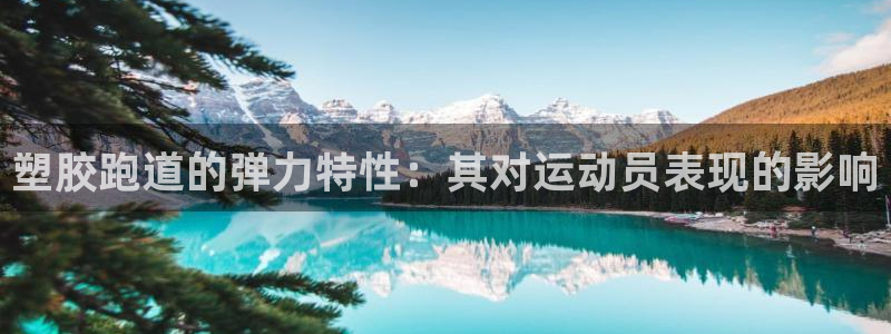 尊龙凯时人生就是搏包装优势：塑胶跑道的弹力特性：其对运动员表现的影响