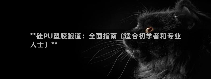 尊龙人生就是博旧版现：**硅PU塑胶跑道：全面指南（适合初学者和专业
人士）**